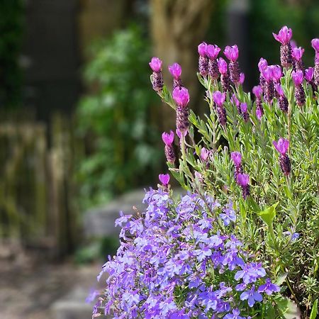 De Zeeuwsche Hoeve Kerkwerve 외부 사진