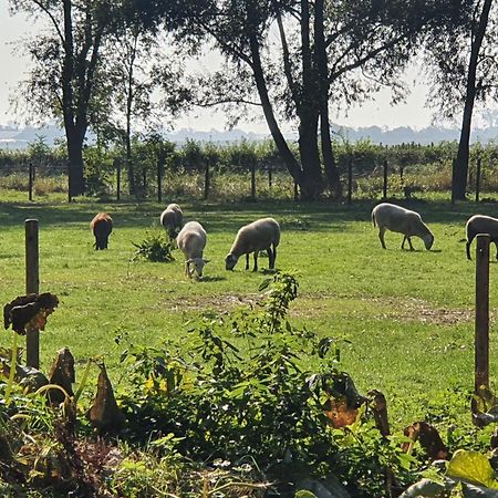 De Zeeuwsche Hoeve Kerkwerve 외부 사진