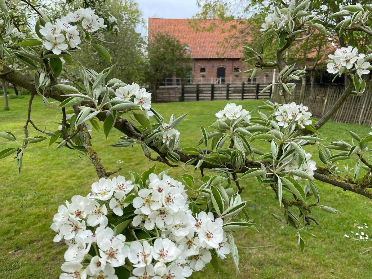 De Zeeuwsche Hoeve Kerkwerve 외부 사진