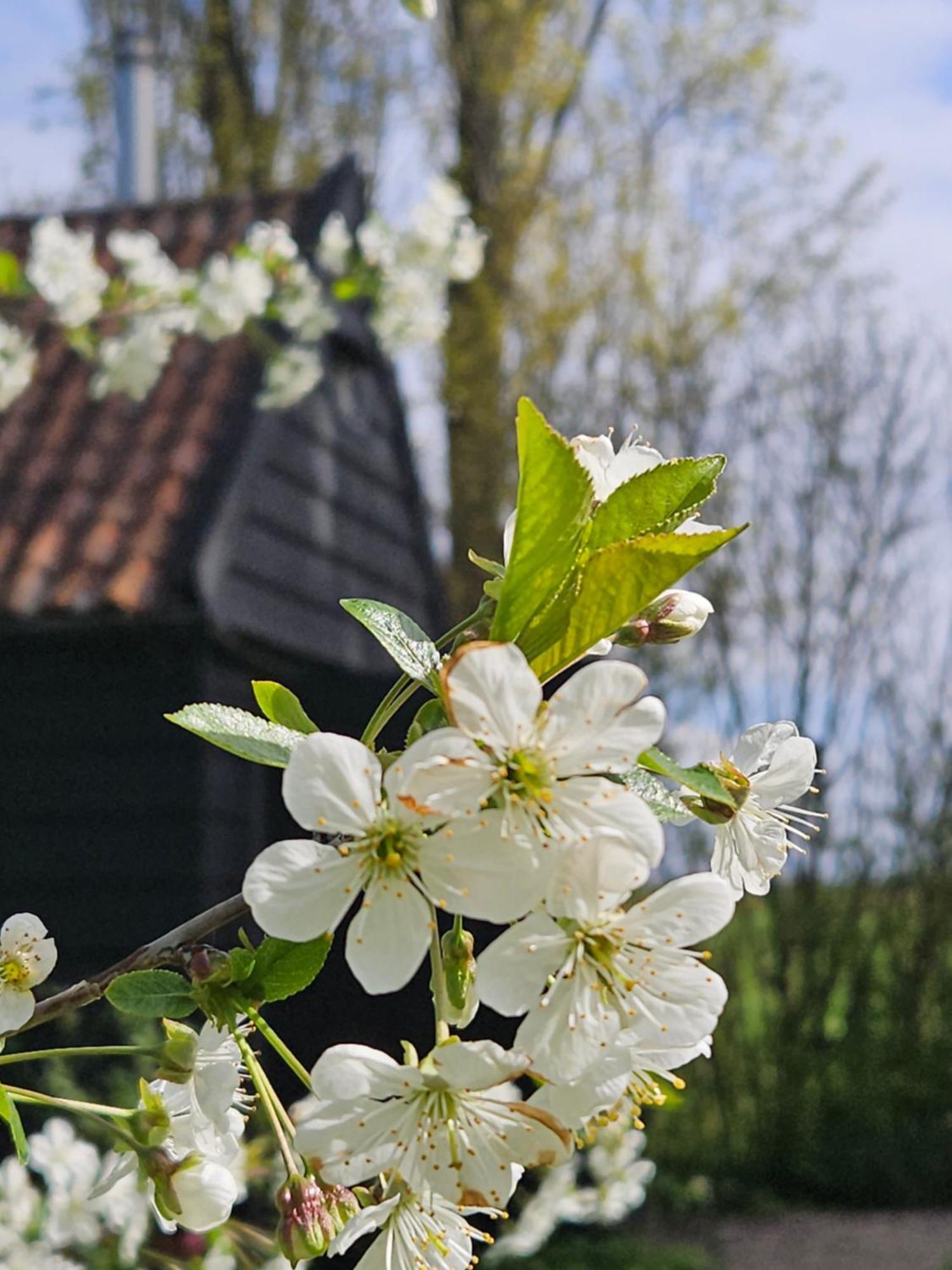 De Zeeuwsche Hoeve Kerkwerve 외부 사진