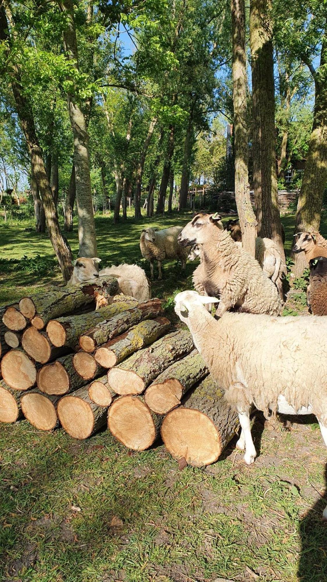 De Zeeuwsche Hoeve Kerkwerve 외부 사진