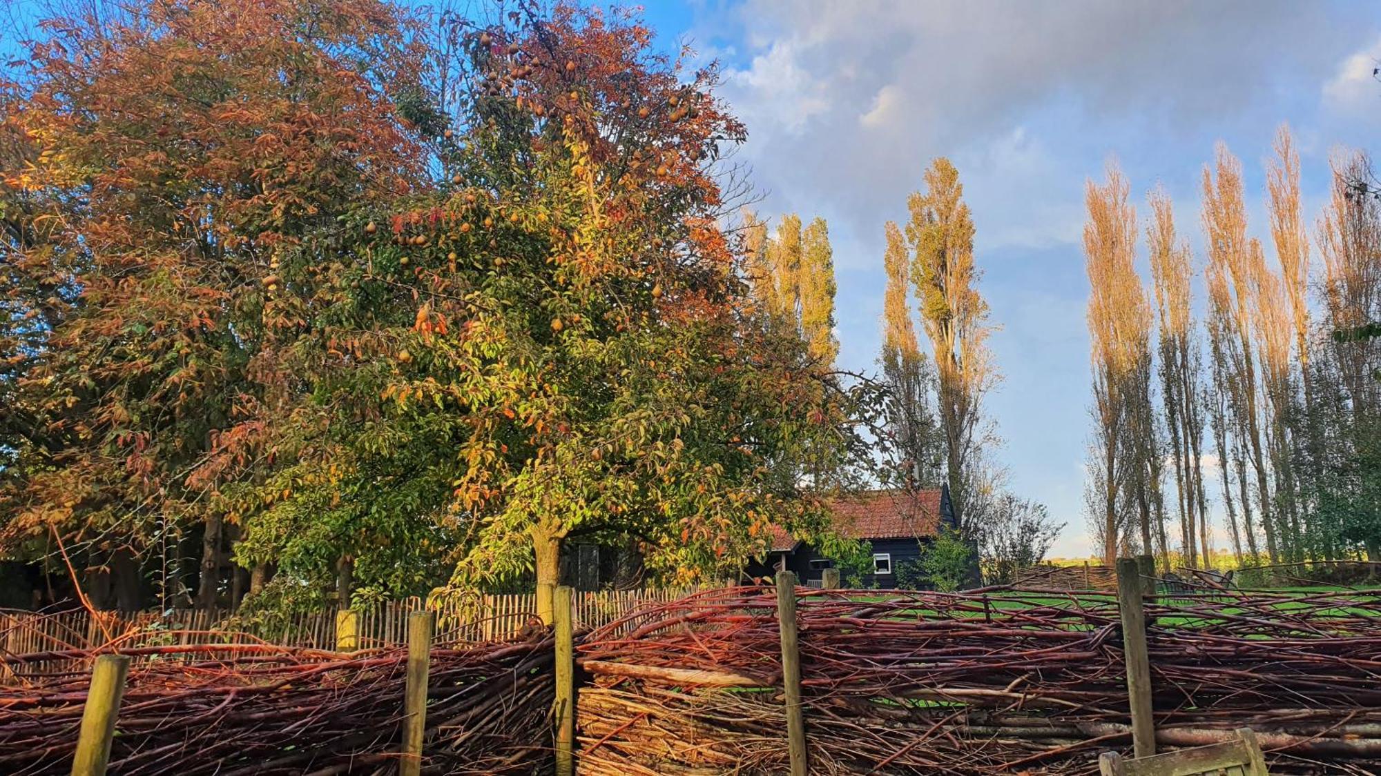 De Zeeuwsche Hoeve Kerkwerve 외부 사진