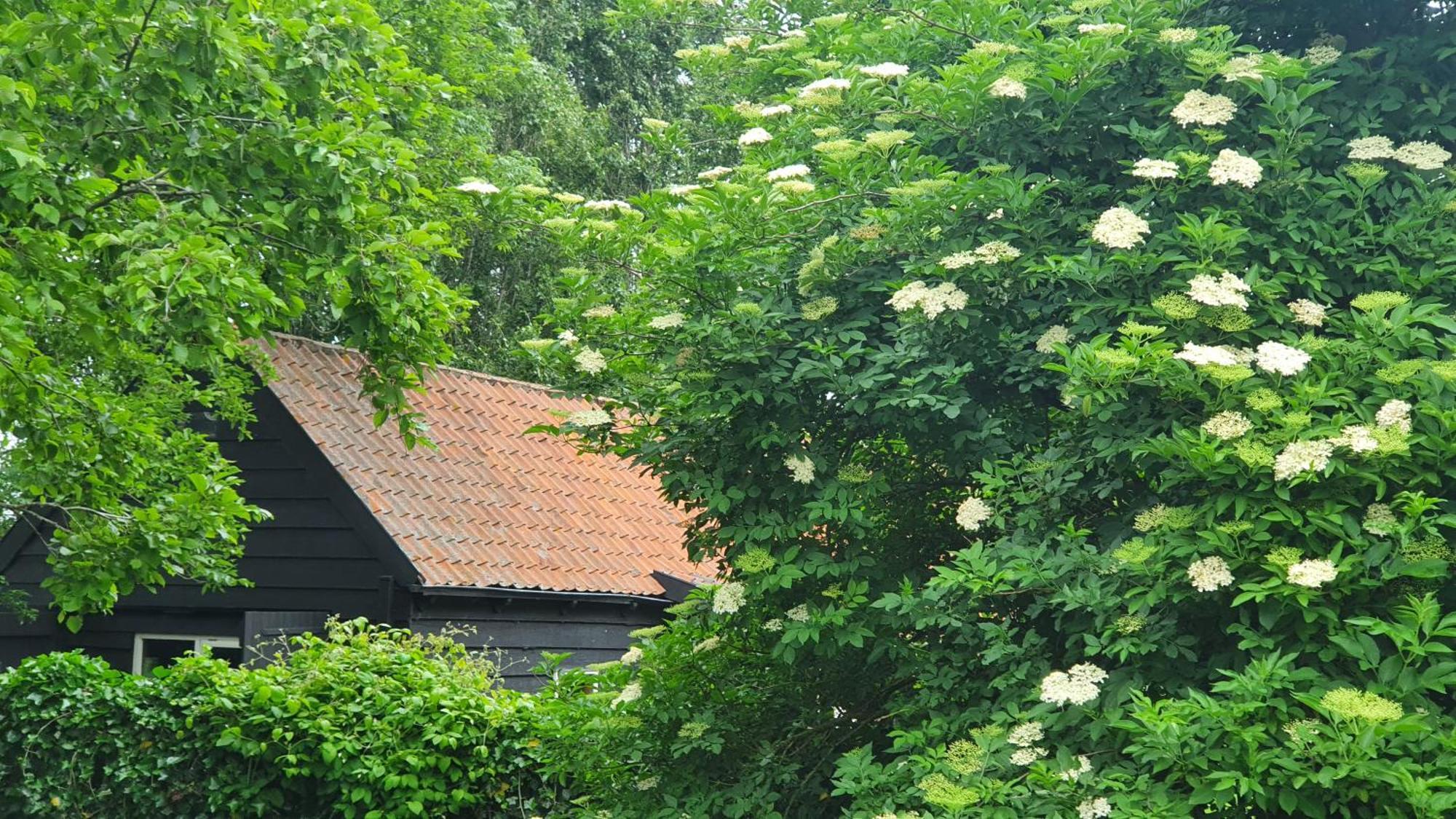 De Zeeuwsche Hoeve Kerkwerve 외부 사진