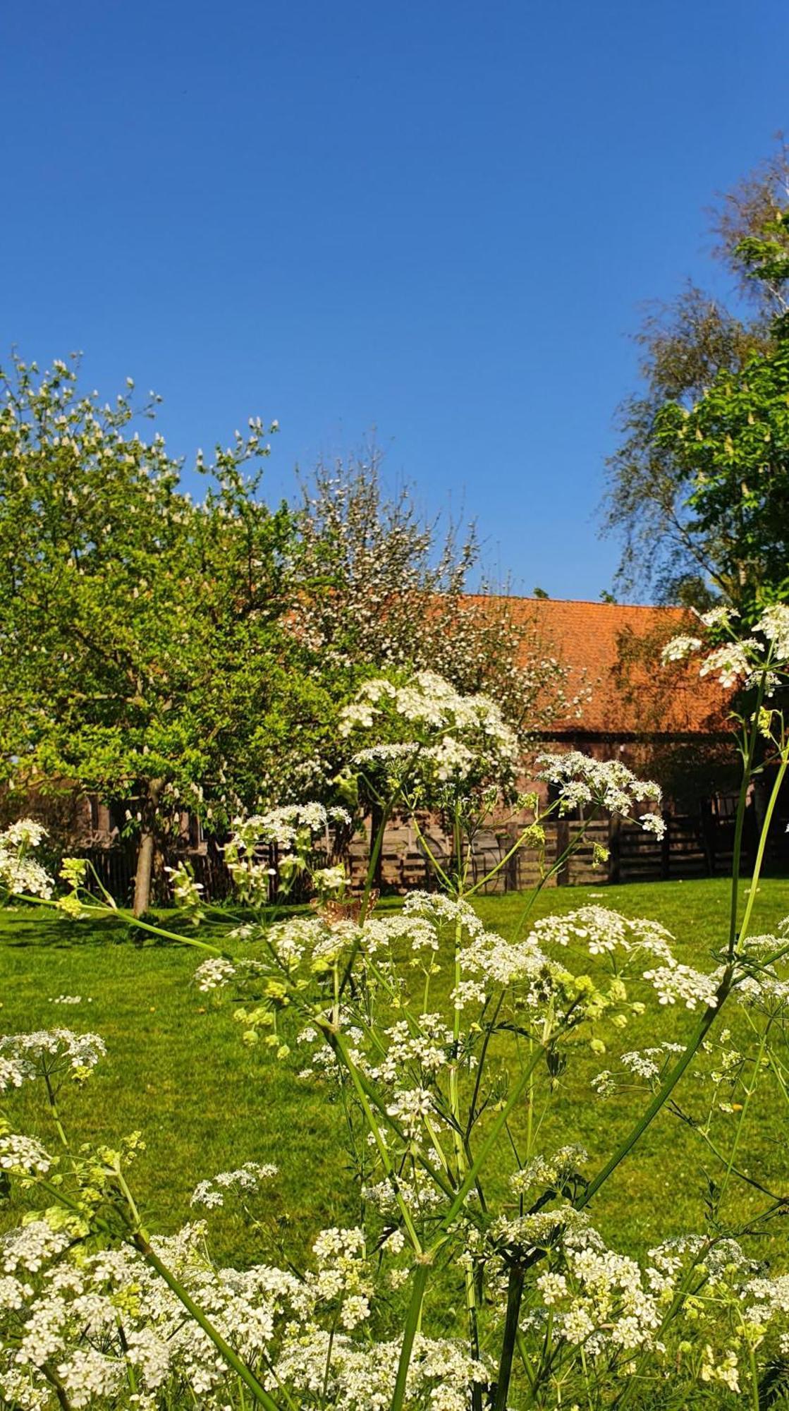 De Zeeuwsche Hoeve Kerkwerve 외부 사진