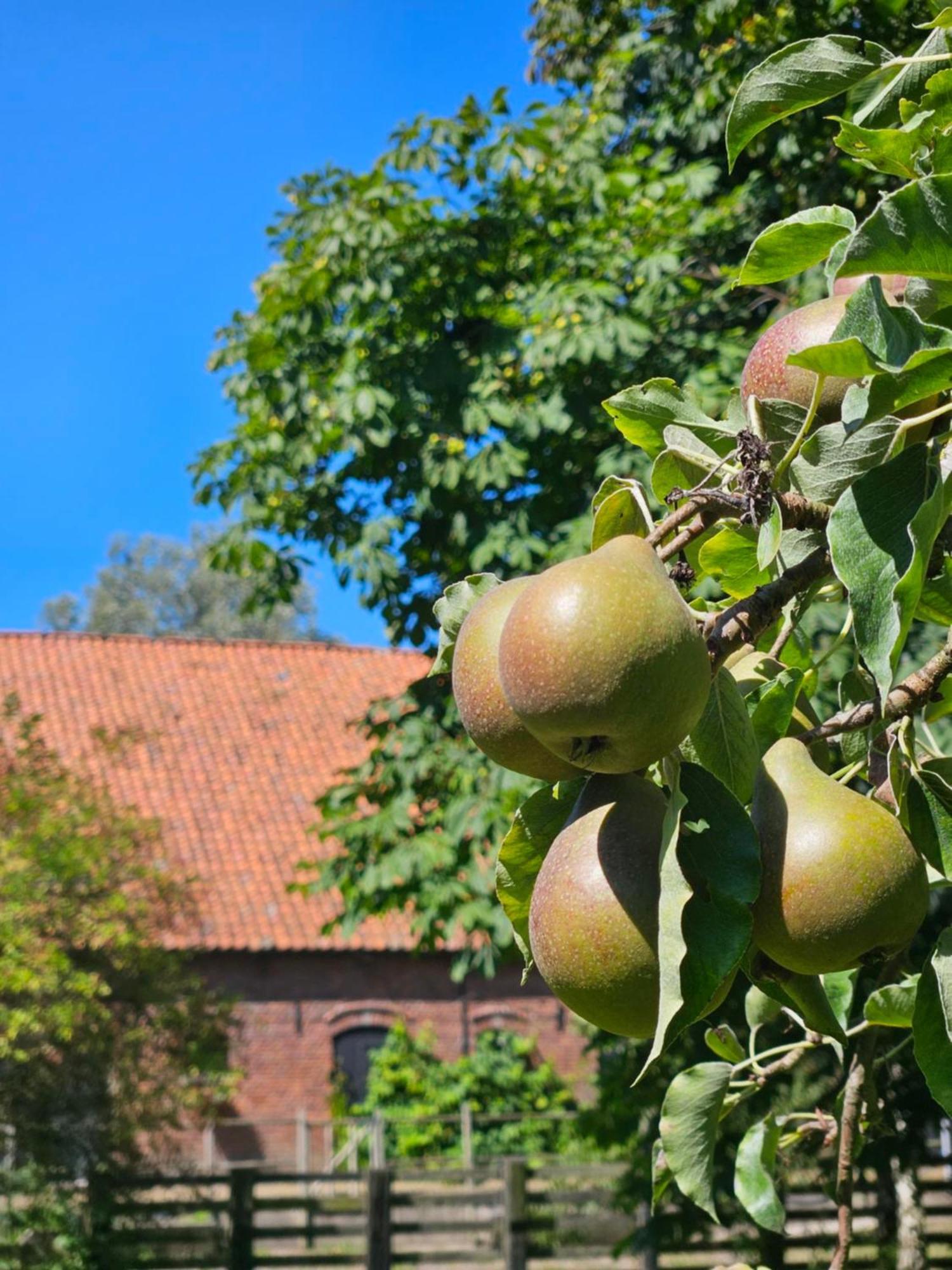 De Zeeuwsche Hoeve Kerkwerve 외부 사진