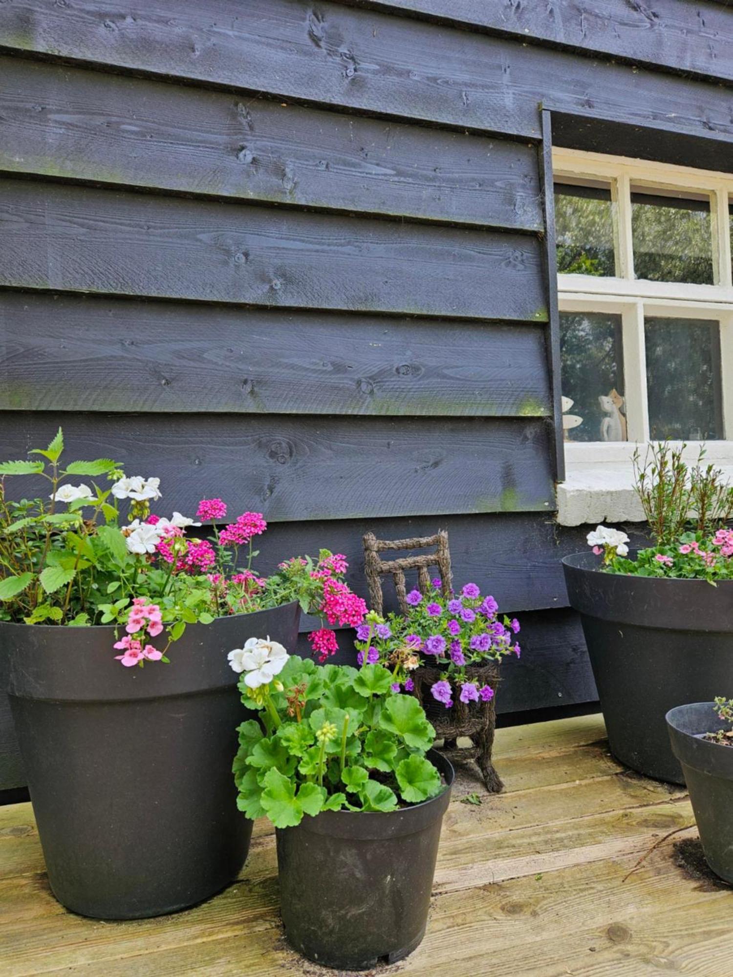 De Zeeuwsche Hoeve Kerkwerve 외부 사진