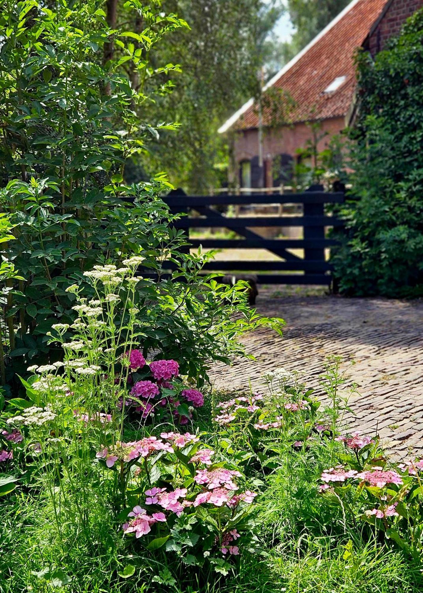 De Zeeuwsche Hoeve Kerkwerve 외부 사진