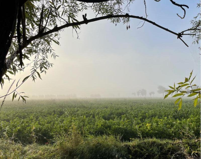 De Zeeuwsche Hoeve Kerkwerve 외부 사진